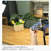 白羊座金儿✚