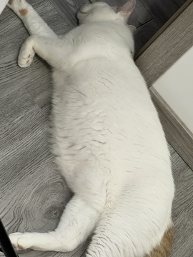 紫琳好运🇨🇳的图片