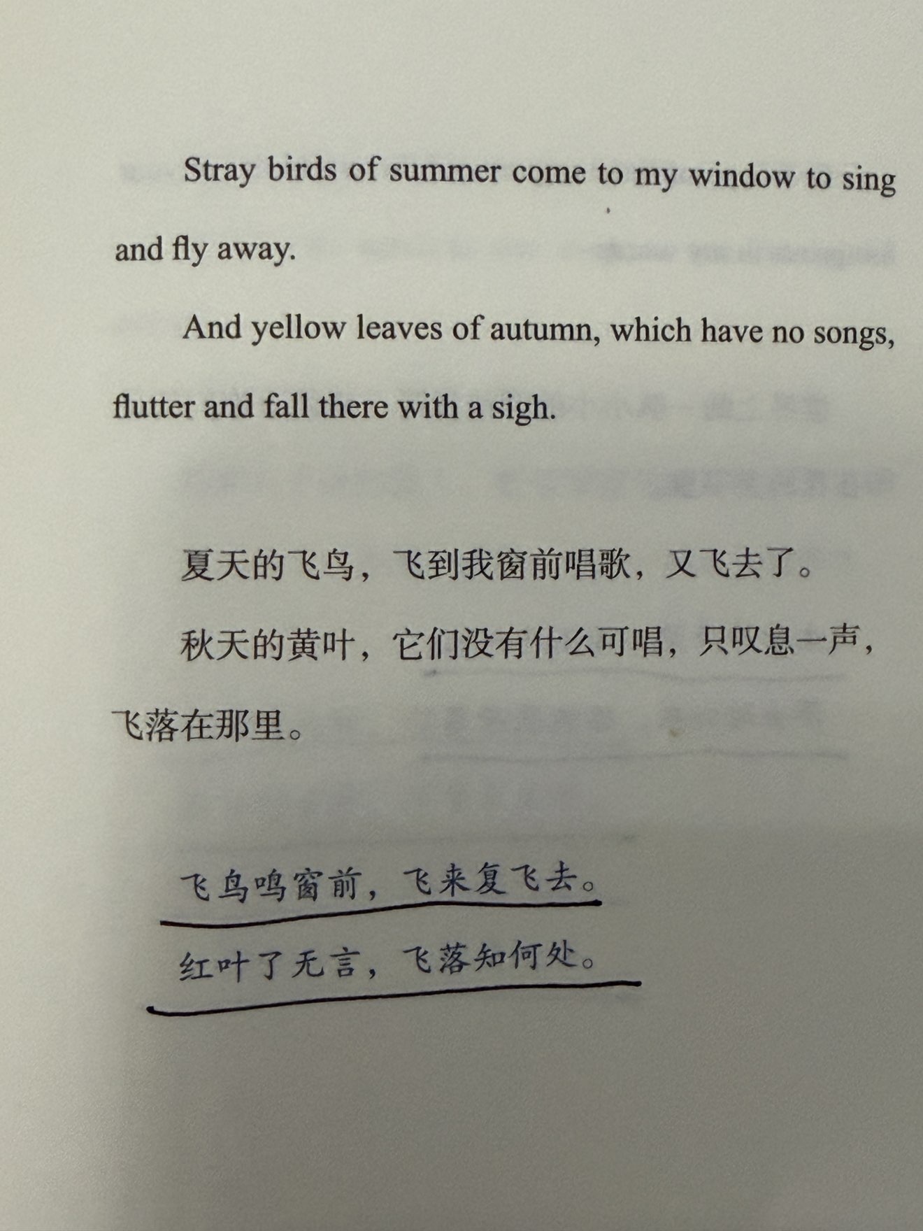 ✨豆包✨不连麦的主播照片