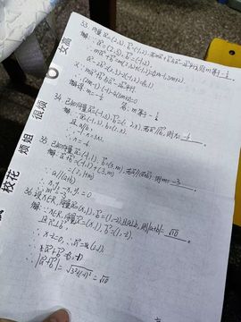 栩栩大王👑病暂休的图片