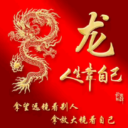 🐉龙🐉歌🐉的头像