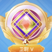 卫尉v