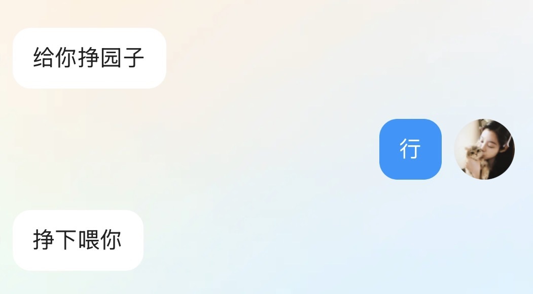 欣欣子。的主播照片