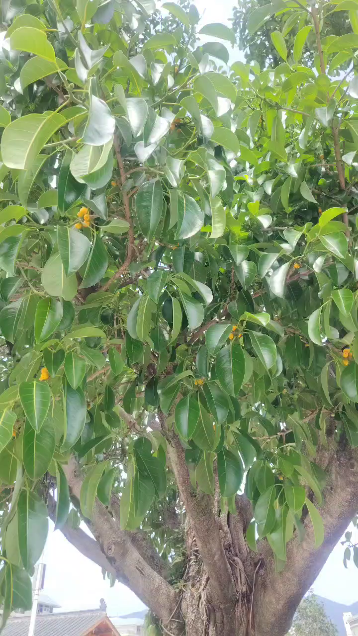 一切幸福的刚刚好/害