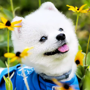 谁家的前任