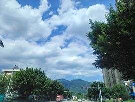 🎶琴儿🎶晚上直播主播照片