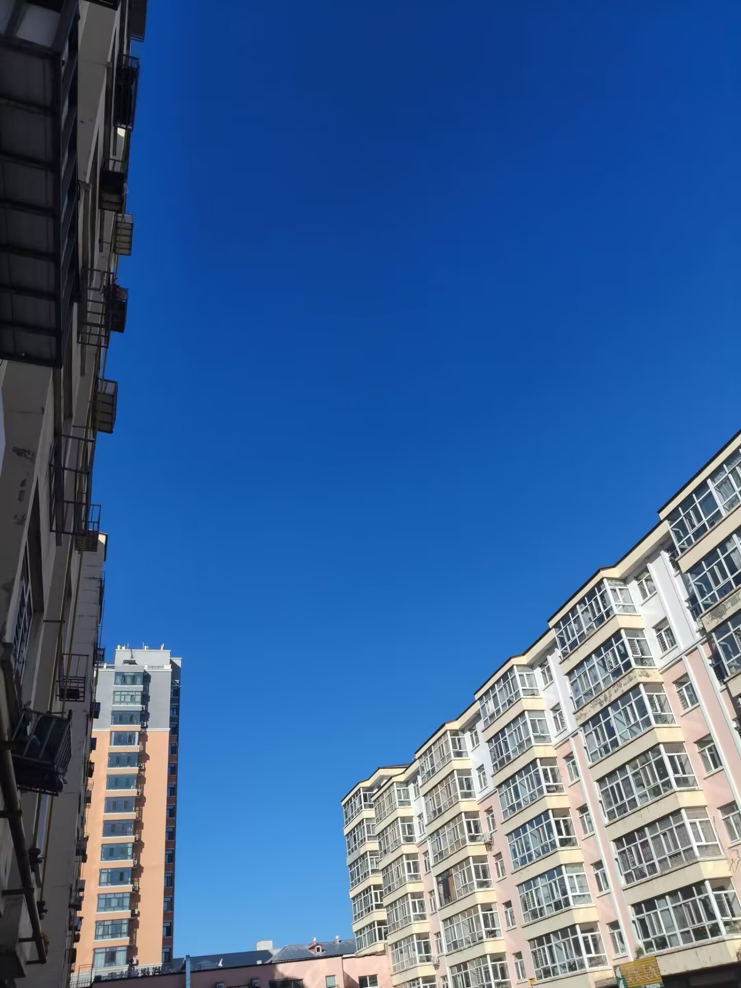 っ梨儿っ主播图片