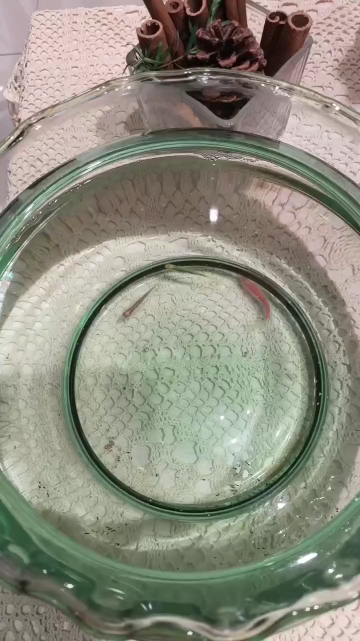 绿色的，粉色的，灰色