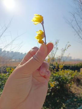 婷婷💕感恩有你陪伴的图片
