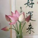 平平安安qja