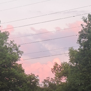 少轩轩