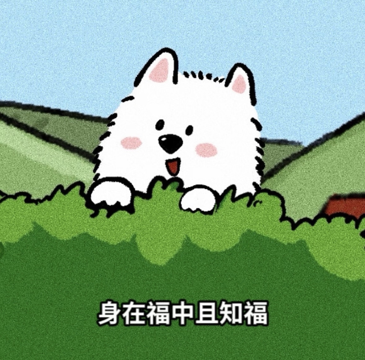 沈知意.主播图片