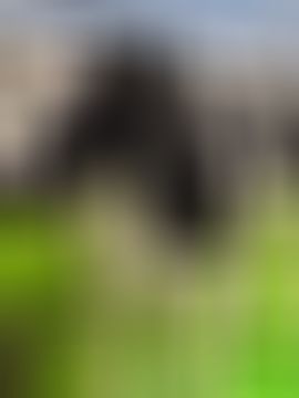 晴儿不连麦主播图片