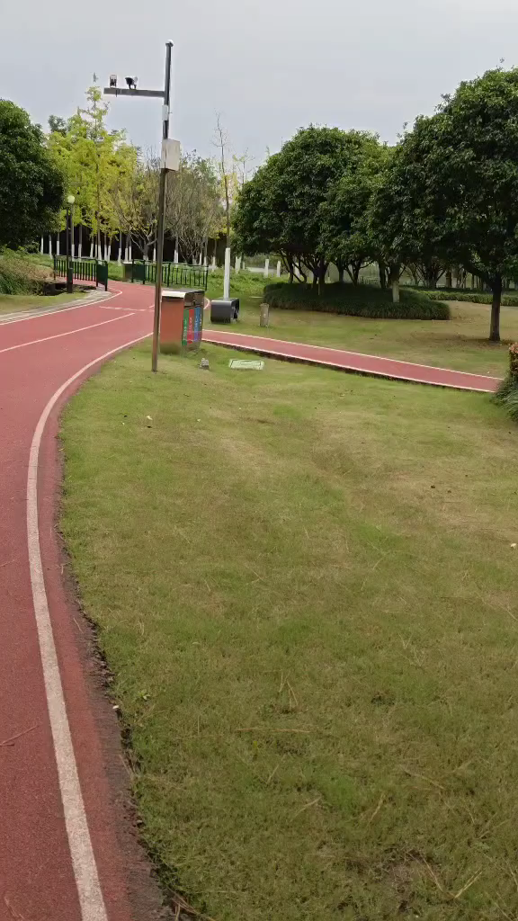 成才之路不一定会创造