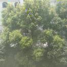 一路有你pod