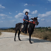锦龙🐉的用户头像