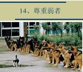 独自じ☆ve默守主播照片