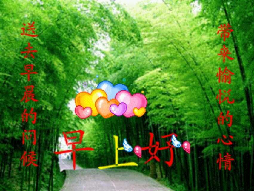 開心的子瑜的主播照片