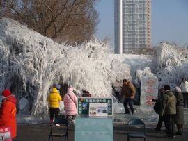 泪雨2010主播照片