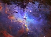 花凋零、风追寻。主播照片