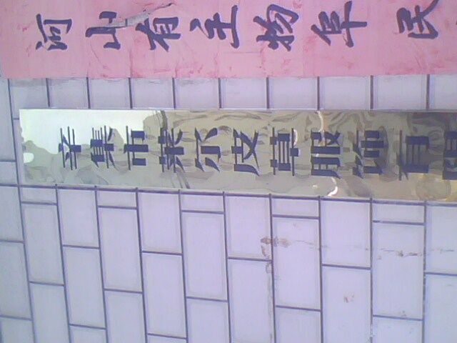回忆以前9595的主播照片