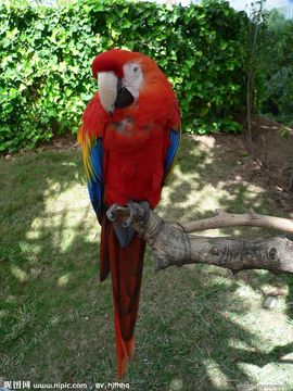 dd西北浪子主播照片