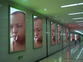 UFC康康主播照片