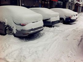 梦雨婆婆主播照片