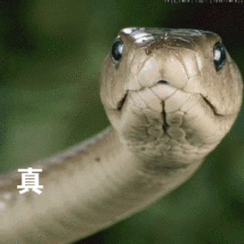 心有阳光总晴天主播照片