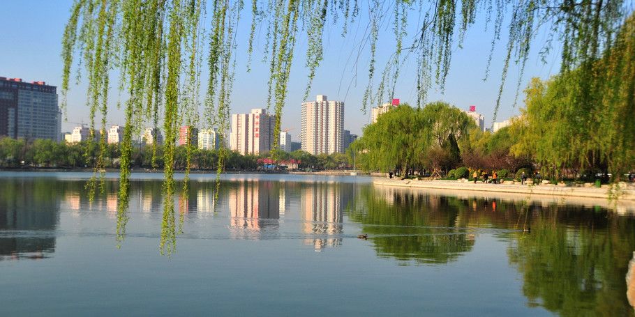 企鹅心的主播照片