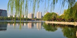 企鹅心主播照片