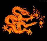 一t叶《一菩提》主播照片