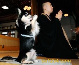 此侽z1丶花落亦不离主播照片