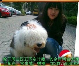 King__の筱雨主播照片