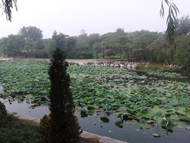 雨中丽人主播照片