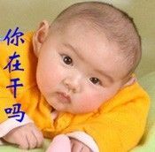 L绝影主播照片