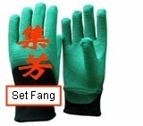 手套图样主播照片