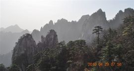 当土豆爱上西红柿主播照片