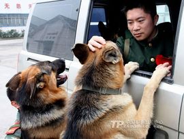 刘李龙主播照片