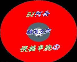 DJ阿岳主播照片