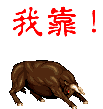 中百小石头主播照片