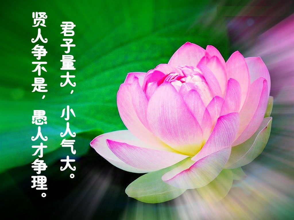 阿弥陀佛!的主播照片
