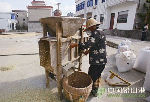 秦倩倩06gjnp的主播照片