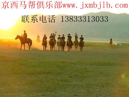 马帮俱乐部主播照片