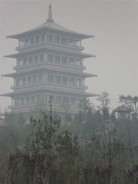 阿强我的主播照片