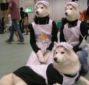~~~~~~木子的主播照片