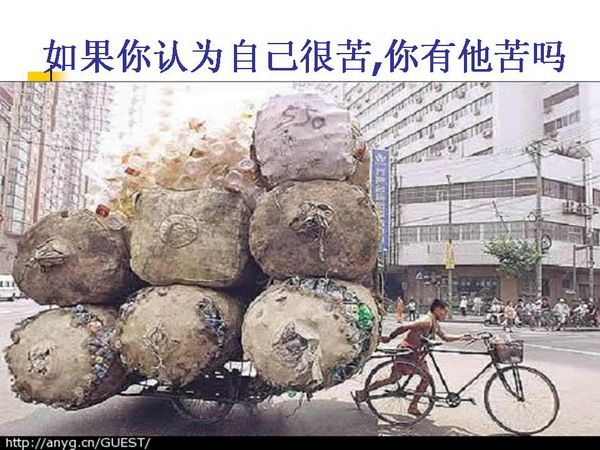 关注你的川哥的主播照片