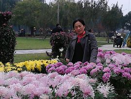 雨中丽人主播照片