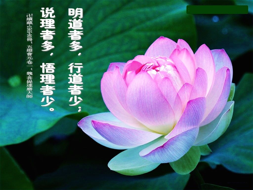 阿弥陀佛!的主播照片