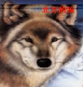 じ☆在线客服⊰╯主播照片